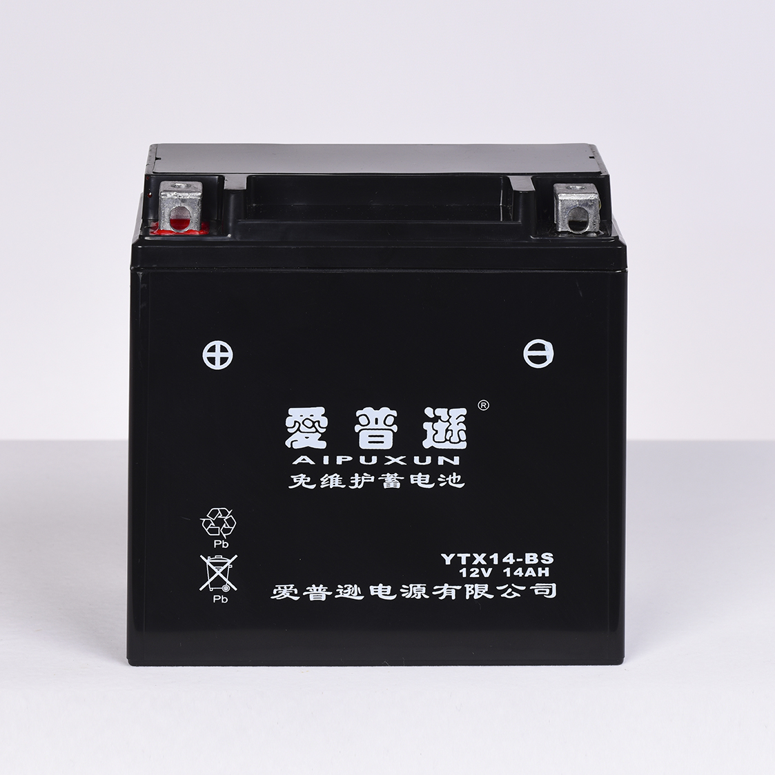 Maintenance free battery